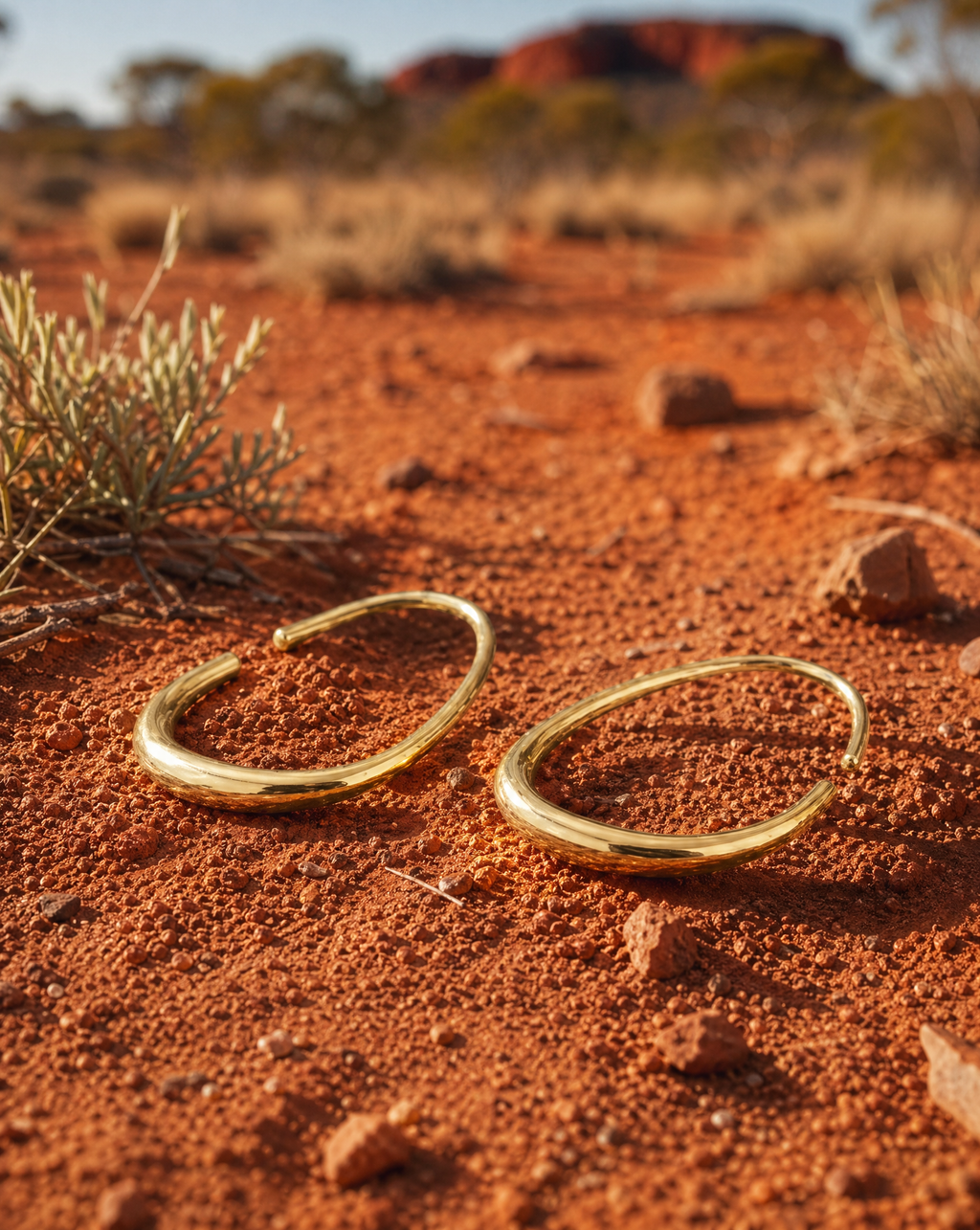 Sculptural Gold hoop earrings on a red dirt surface with desert landscape in the background