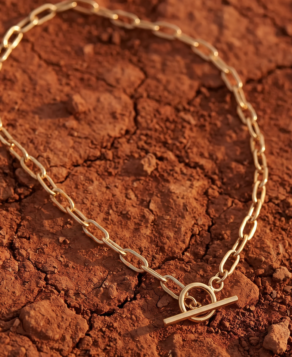 Luxury Gold chain necklace on a textured red earth surface