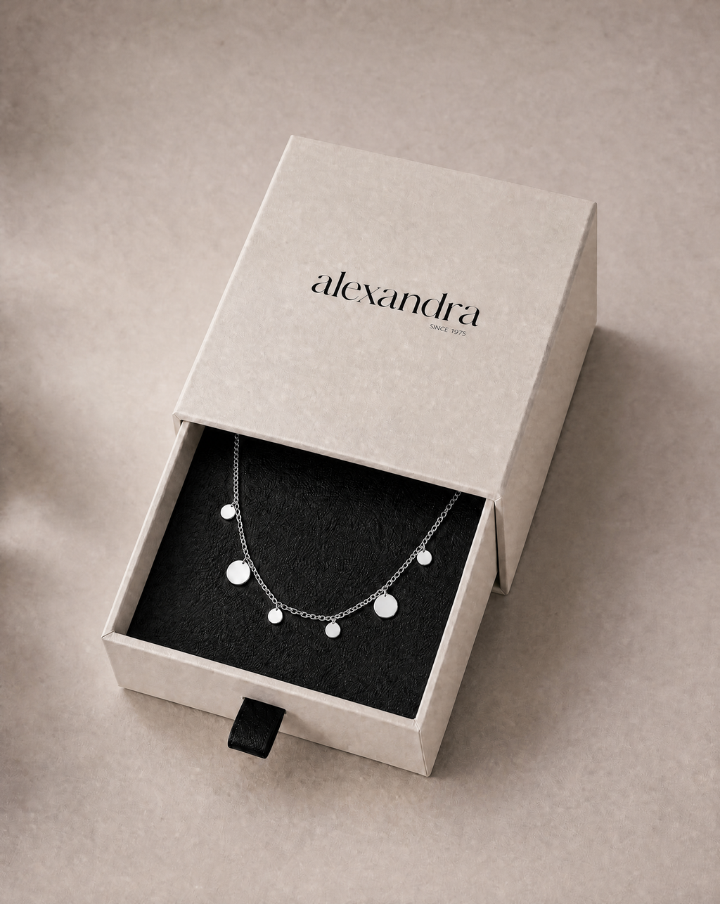 Silver Disc Necklace | The Meander