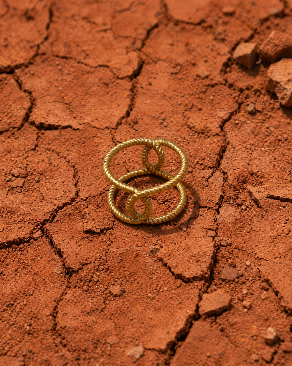 Sculptured Gold ring on a cracked, red earth surface