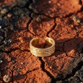 Terra Ring